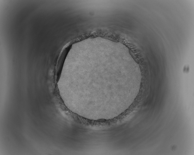 X0000097600144200803211708