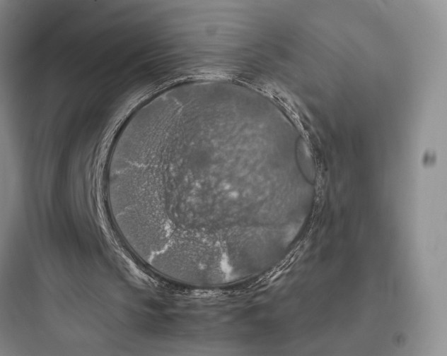 X0000097600145200803211707