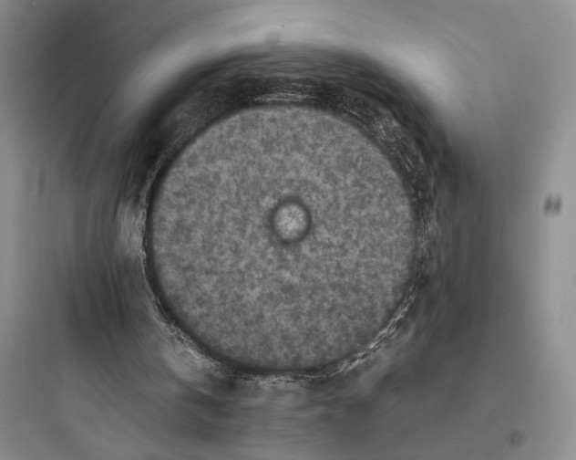 X0000097600146200803211707