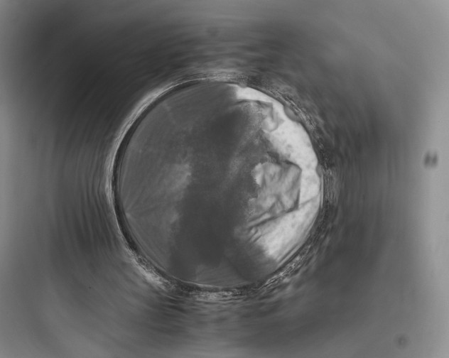 X0000097600147200803211707