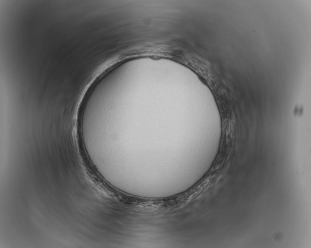 X0000097600148200803211707