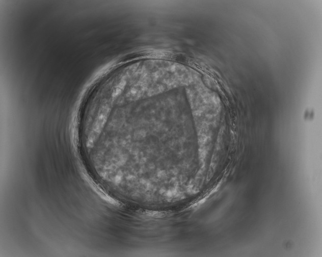 X0000097600149200803211707