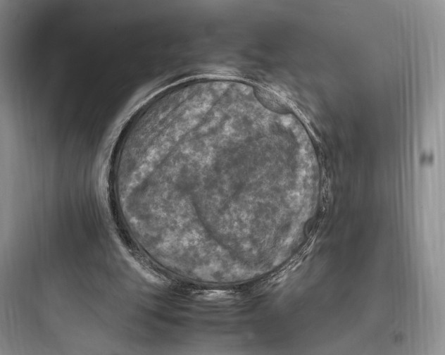 X0000097600151200803211707