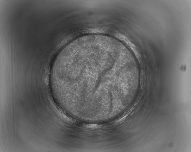 X0000097600153200803211707