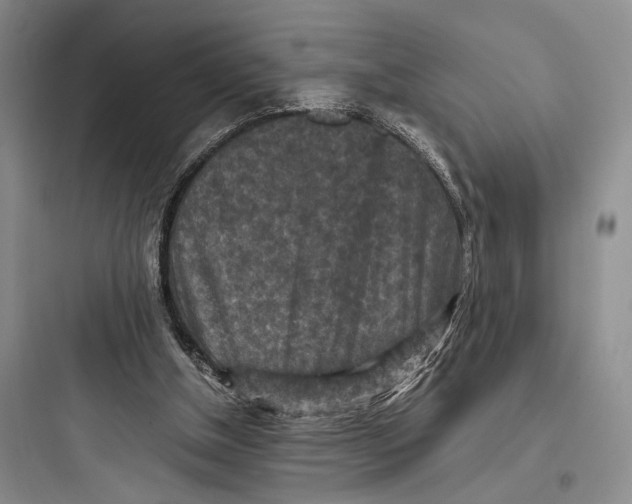 X0000097600154200803211707