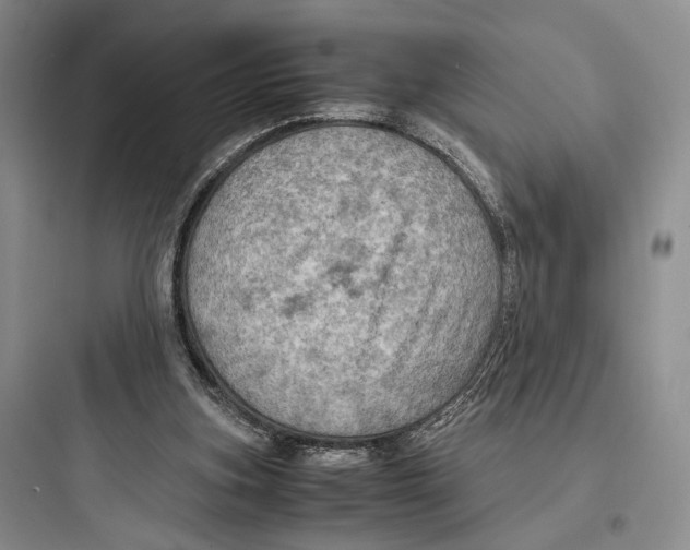 X0000097600155200803211707