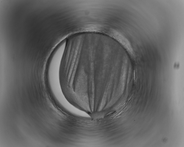 X0000097600156200803211707