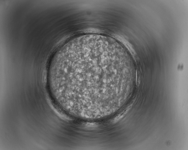 X0000097600157200803211707