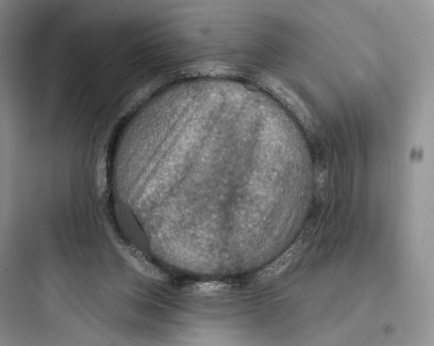 X0000097600158200803211707