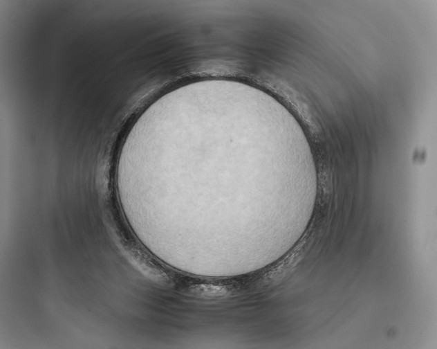 X0000097600159200803211707