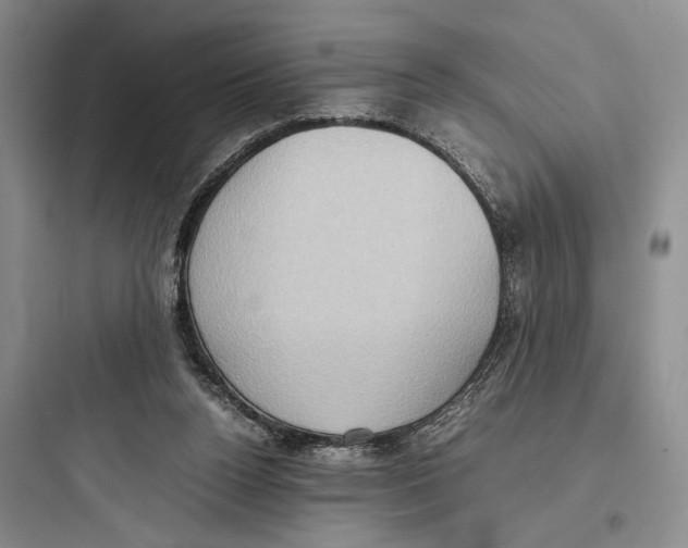 X0000097600160200803211707