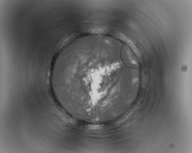 X0000097600161200803211707