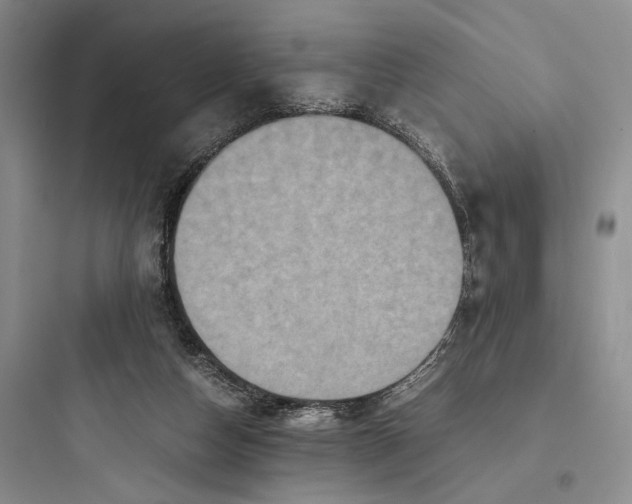 X0000097600162200803211707