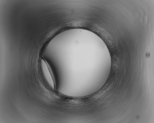 X0000097600164200803211707