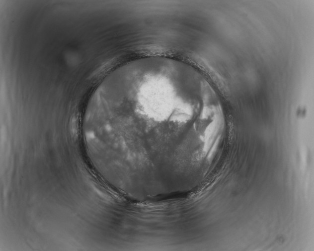 X0000097600165200803211707