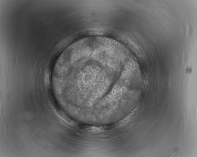 X0000097600166200803211707