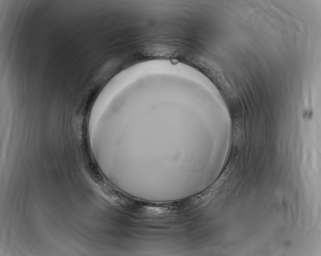 X0000097600167200803211708