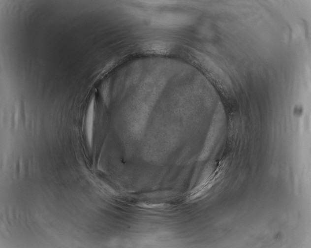 X0000097600168200803211708