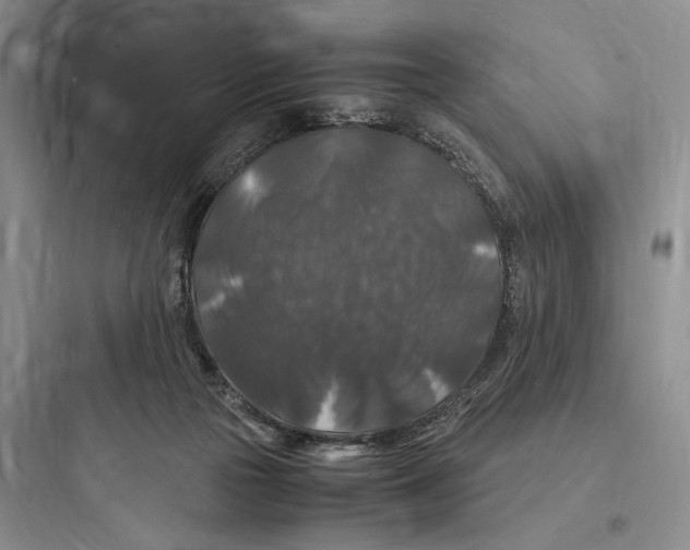 X0000097600169200803211708