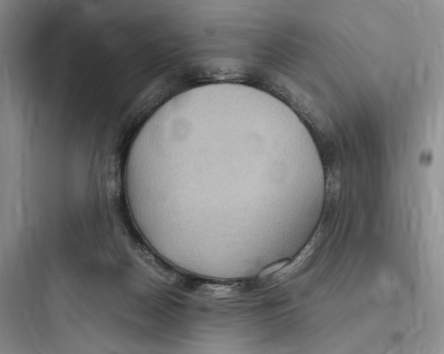 X0000097600170200803211708