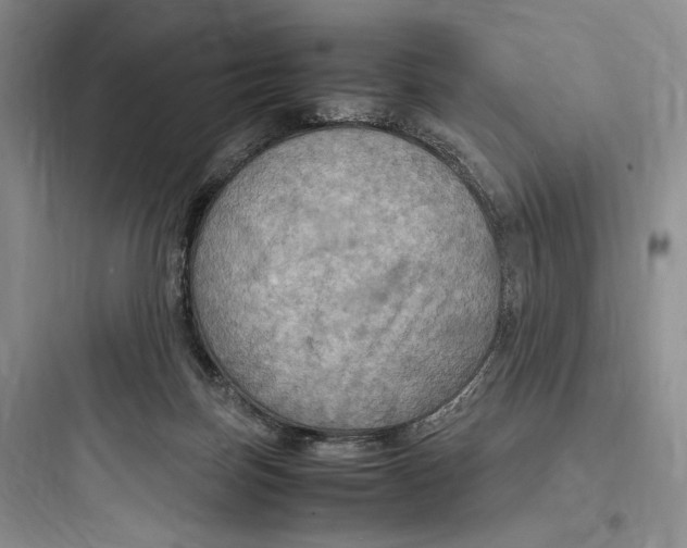 X0000097600171200803211708