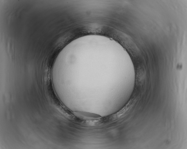 X0000097600172200803211708