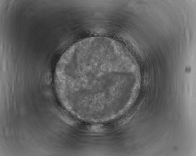 X0000097600173200803211708