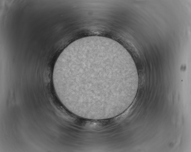 X0000097600174200803211708