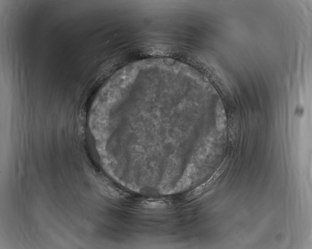 X0000097600175200803211708