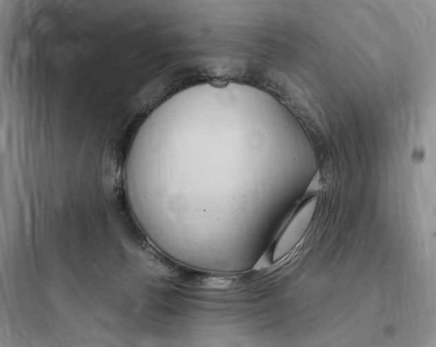 X0000097600176200803211708