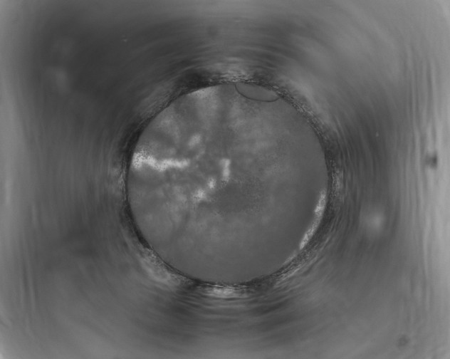 X0000097600177200803211708