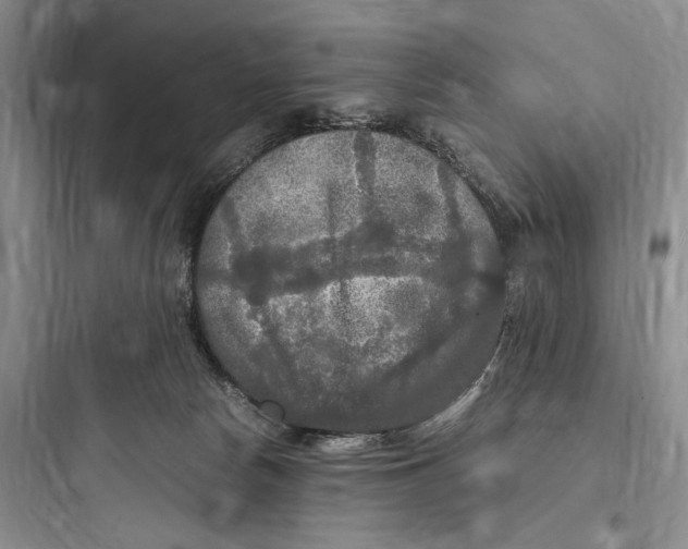 X0000097600178200803211708