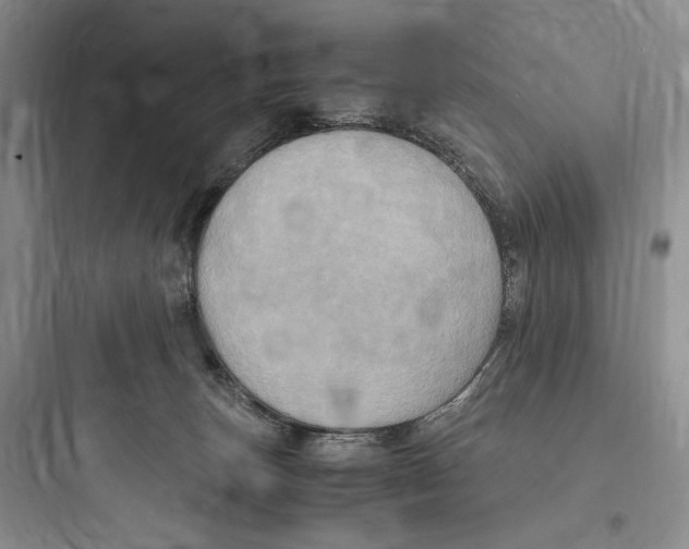 X0000097600179200803211708