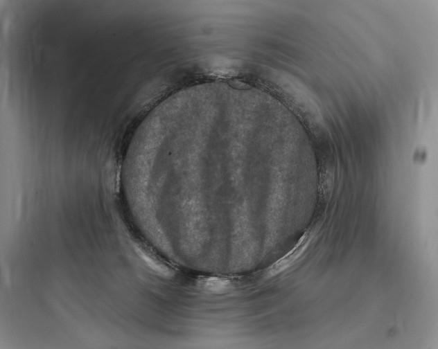 X0000097600180200803211708