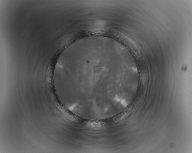 X0000097600181200803211708