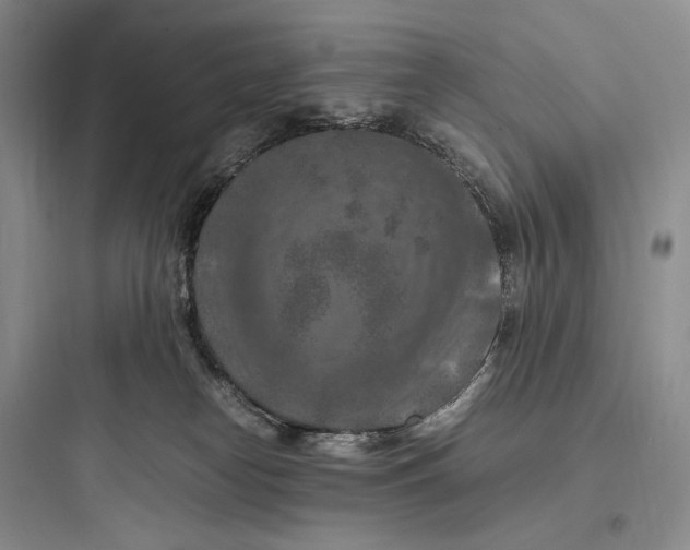 X0000097600182200803211708