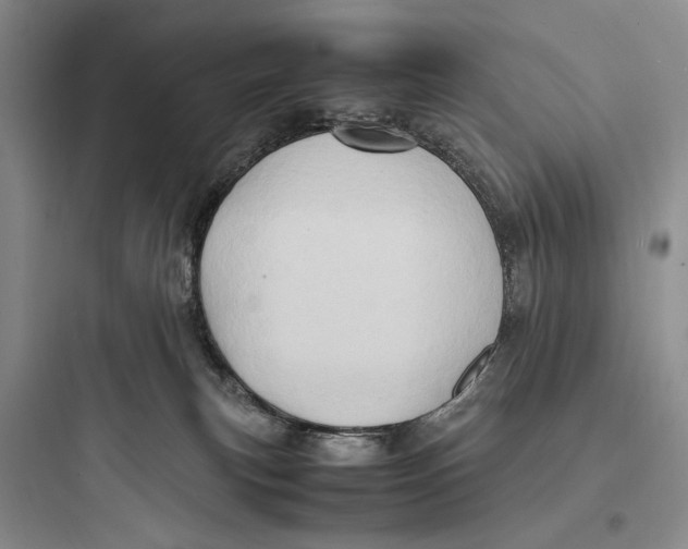 X0000097600183200803211708