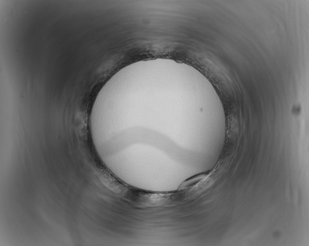 X0000097600184200803211708