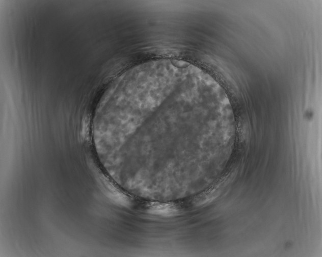 X0000097600185200803211708