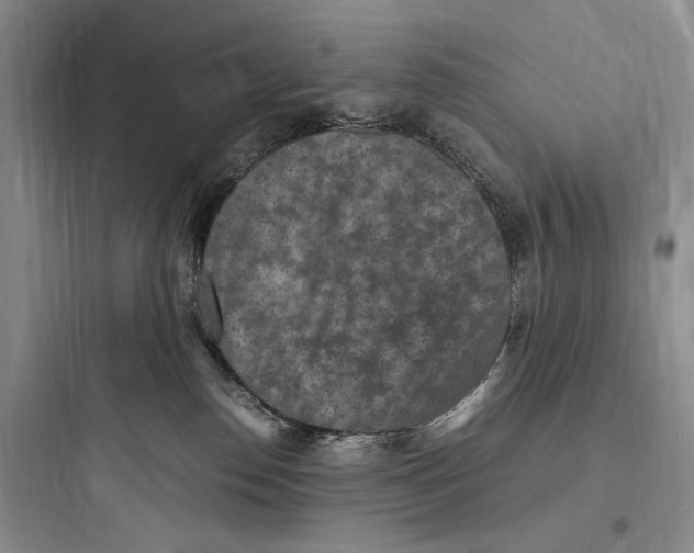 X0000097600186200803211708