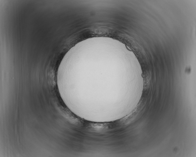 X0000097600187200803211708