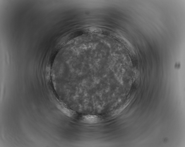 X0000097600189200803211708