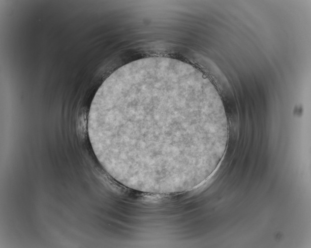 X0000097600190200803211708