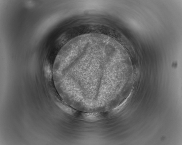 X0000097600191200803211708