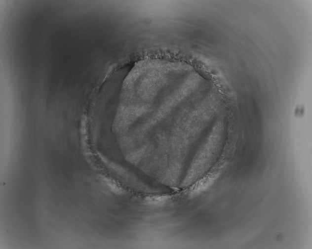 X0000097600192200803211708