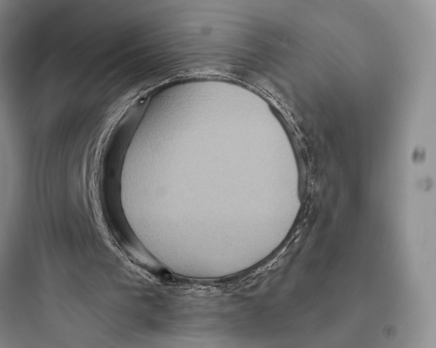 X0000097600193200803211707