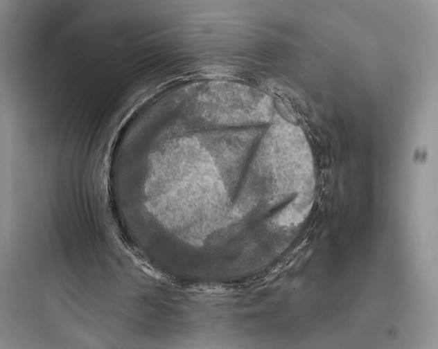 X0000097600194200803211707