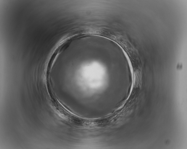 X0000097600195200803211707