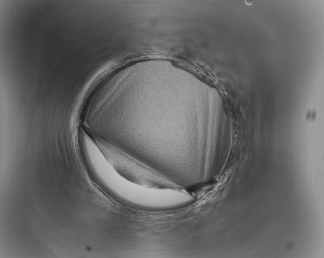 X0000097600197200803211707