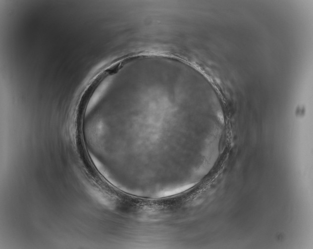 X0000097600199200803211707